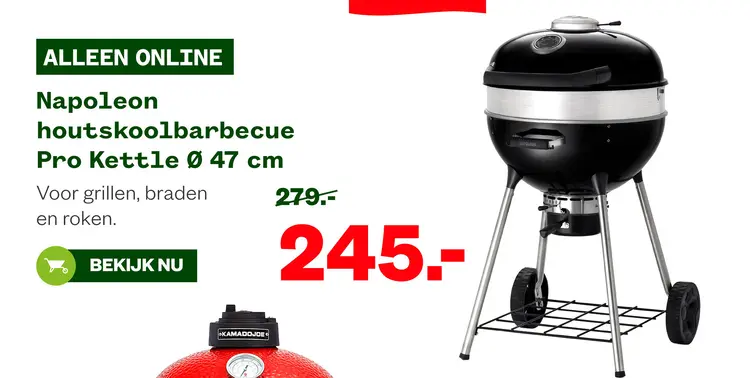 Aanbieding: Napoleon houtskoolbarbecue Pro Kettle