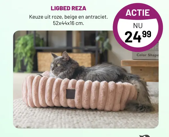 Aanbieding: Ligbed reza