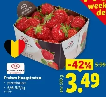 Offre: Fraises Hoogstraten
