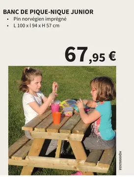 Offre: Banc de pique-nique junior