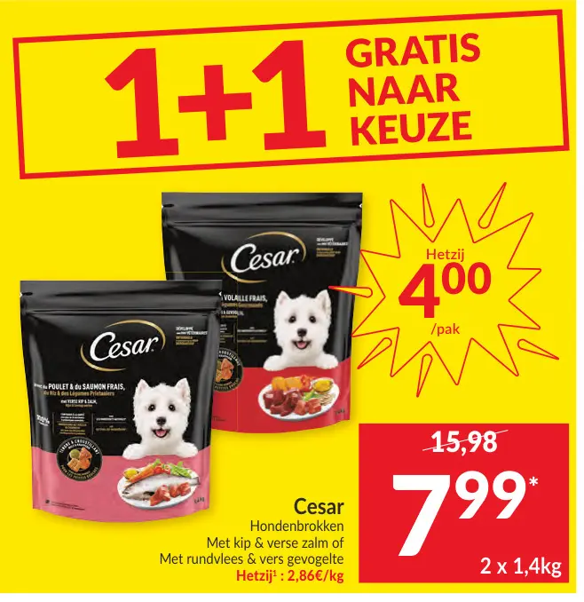 Promotie: Cesar Hondenbrokken