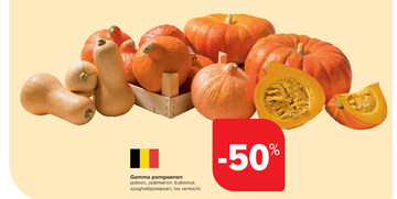 Aanbieding: Gamma pompoenen