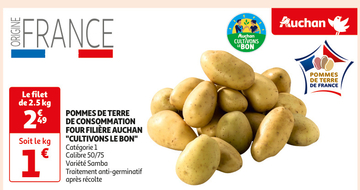 Offre: POMMES DE TERRE DE CONSOMMATION FOUR FILIÈRE 