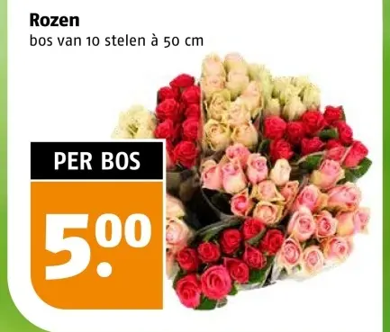 Aanbieding: Rozen