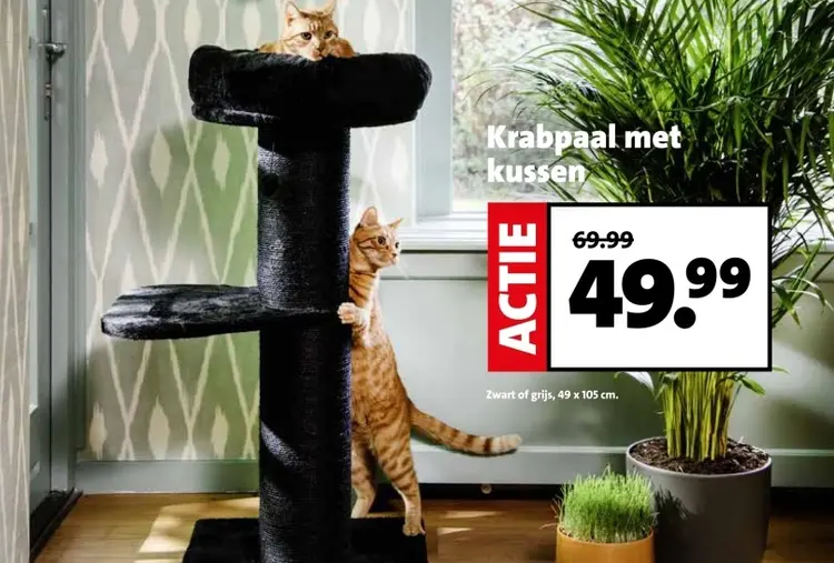 Aanbieding: Krabpaal met kussen