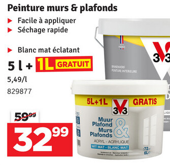 Aanbieding: Peinture murs & plafonds