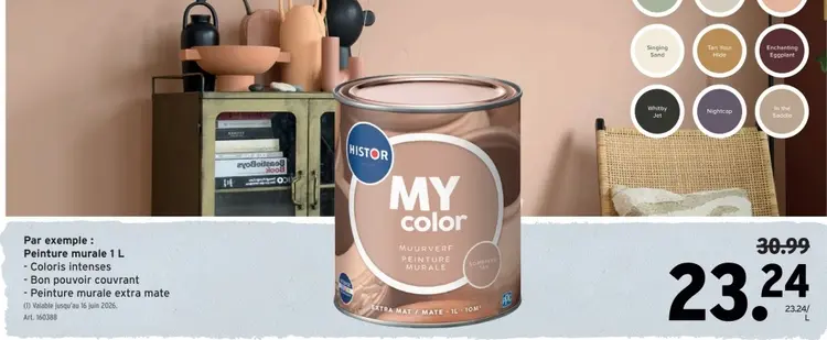 Offre: Peinture murale 1 L