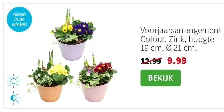 Aanbieding: Voorjaarsarrangement Colour