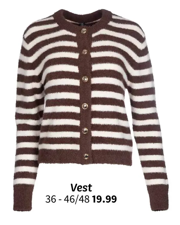 Promotie: Vest
