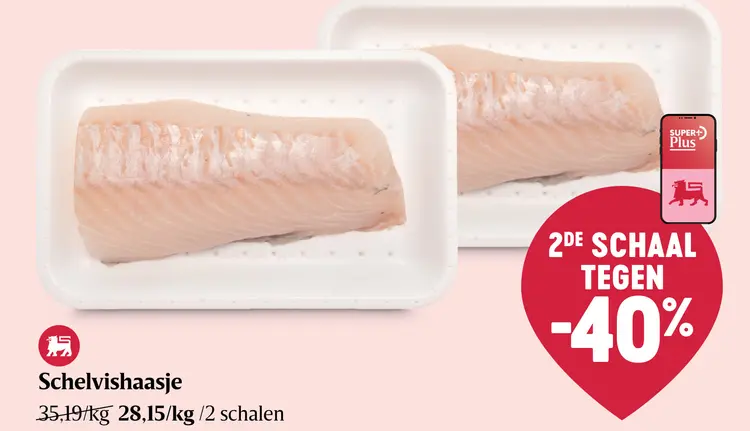 Promotie: Schelvishaasje