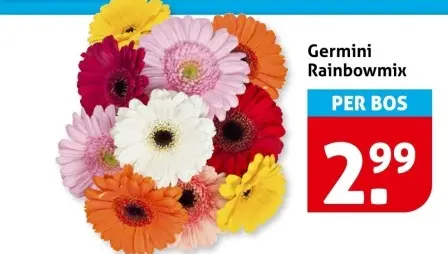 Germini Rainbowmix