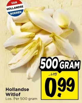 Hollandse Witlof