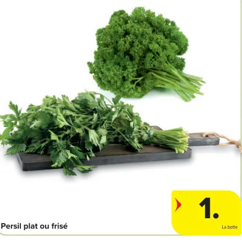 Offre: Persil plat ou frisé