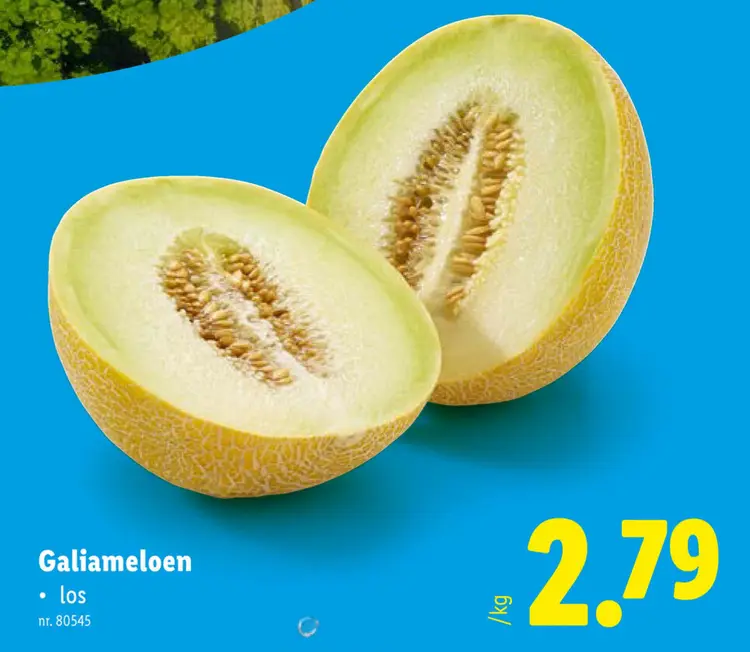 Promotie: Galiameloen