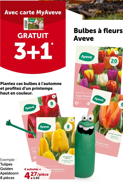 Offre: Bulbes à fleurs