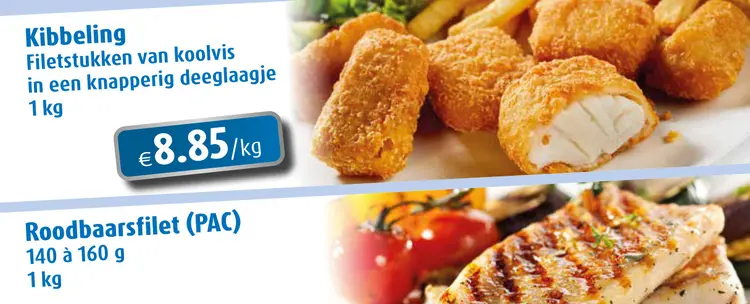 Promotie: Kibbeling