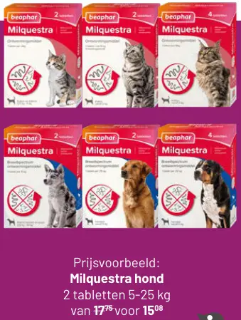 Aanbieding: Milquestra hond