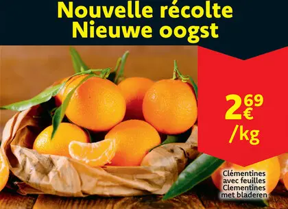 Offre: Papier toilette