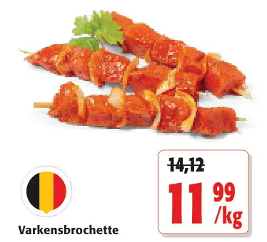 Promotie: Varkensbrochette