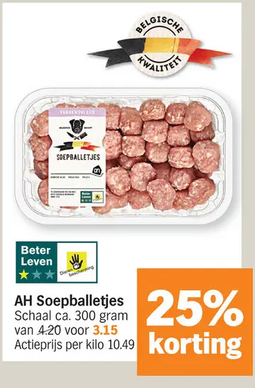 Promotie: Soepballetjes