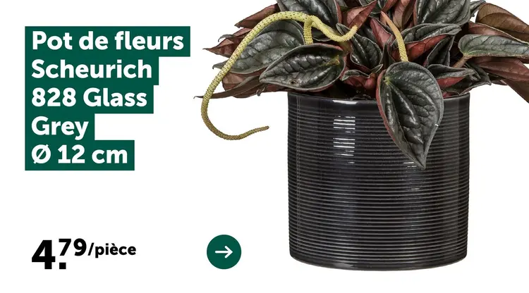 Offre: Pot de fleurs Scheurich 828 Glass Grey 12 cm