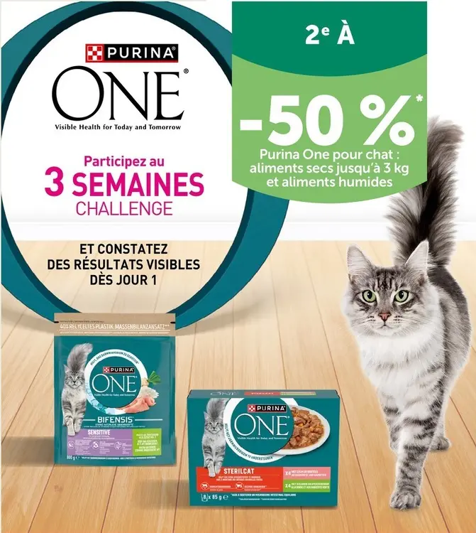 Offre: Pour chat : aliments secs et aliments humides