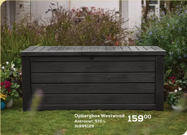 Promotie: Opbergbox Westwood