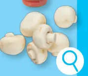 Promotie: Champignons
