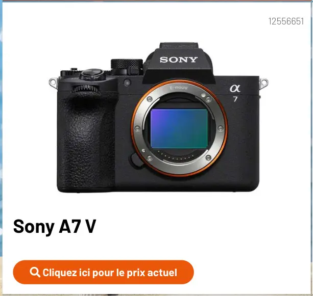 Offre: A7 v