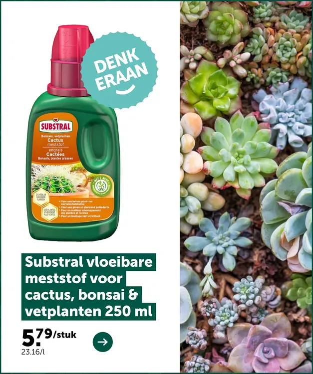 Promotie: Substral vloeibare meststof voor cactus, bonsai en vetplanten 