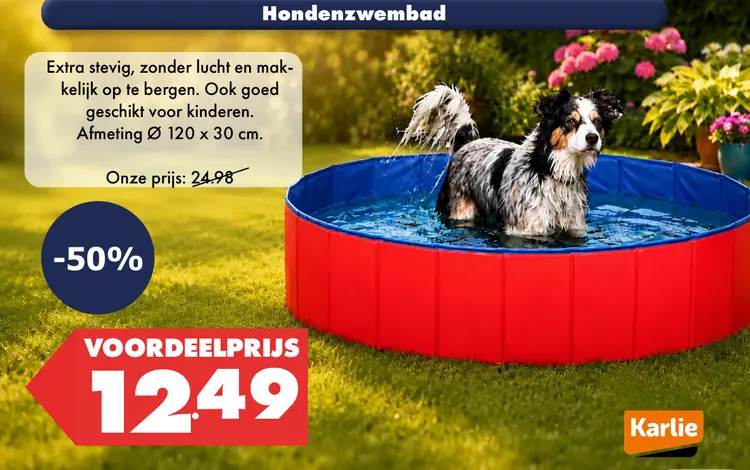 Aanbieding: Hondenzwembad