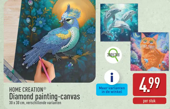 Promotie: Diamond painting-canvas