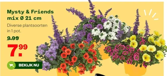 Aanbieding: Mysty & Friends mix