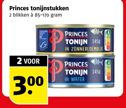 Aanbieding: Tonijnstukken