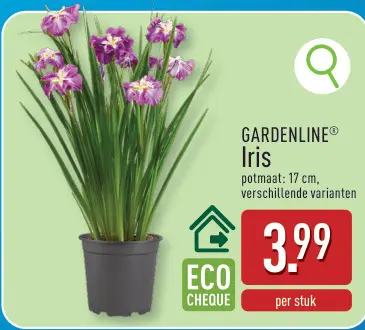 Promotie: Iris