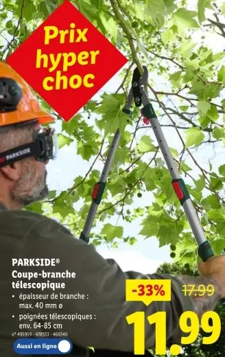 Offre: Coupe-branche télescopique