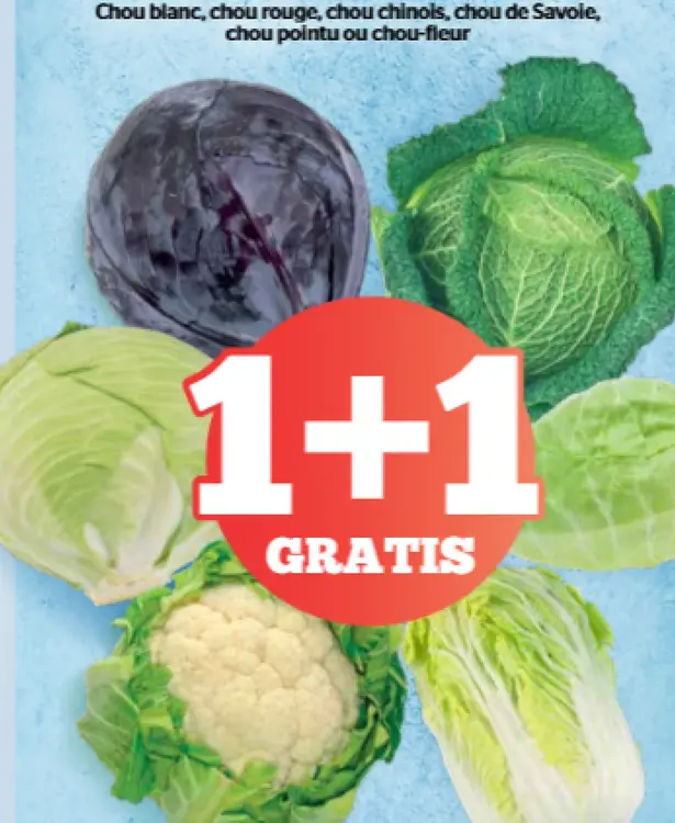 Offre: Chou blanc, chou rouge, chou chinois, chou de Savoie, Chou pointu ou chou-fleur