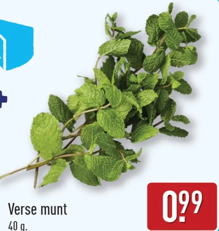 Aanbieding: Verse munt