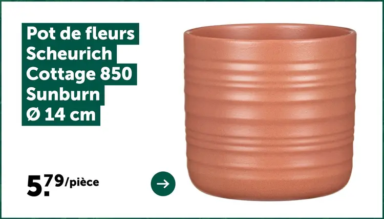 Offre: Pot de fleurs