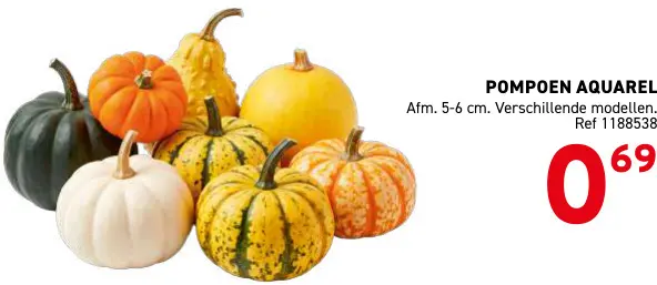 Promotie: Pompoen aquarel