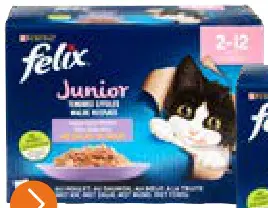 Promotie: Felix Junior