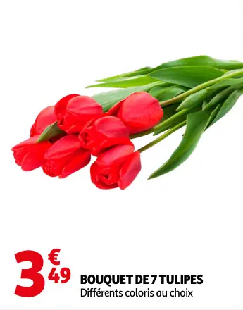 Promotie: Bouquet de 7 tulipes