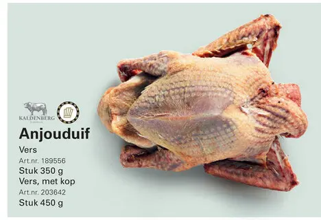 Aanbieding: Anjouduif