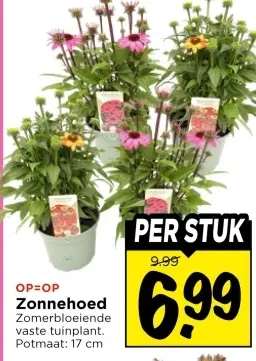 Aanbieding: Zonnehoed