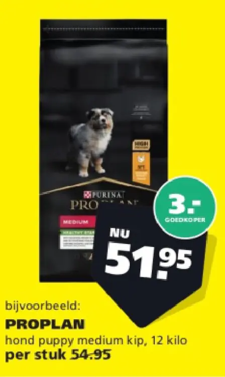 Aanbieding: hond puppy medium kip