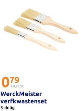 Aanbieding: WerckMeister verfkwastenset