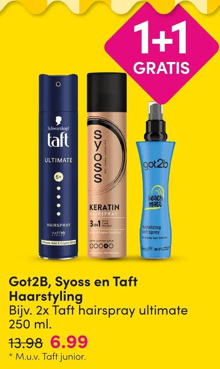 Aanbieding: Haarstyling