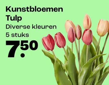 Promotie: Stoel Avignon