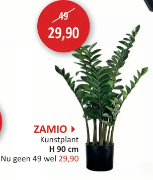 Promotie: ZAMIO Kunstplant