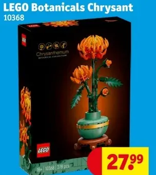 Aanbieding: Botanicals Chrysant